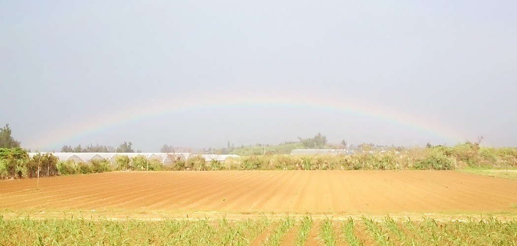 宮古の空に浮かぶ虹